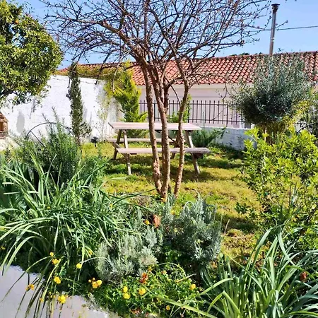Nafplio Cottage-grandma's Yard Holiday home Asini (Argolis)
