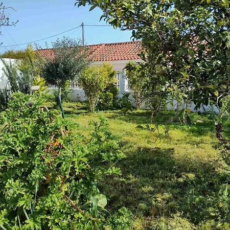 Nafplio Cottage-grandma's Yard Hébergement de vacances Asíni