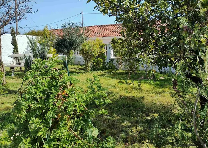 Nafplio Cottage-grandma's Yard * Asíni